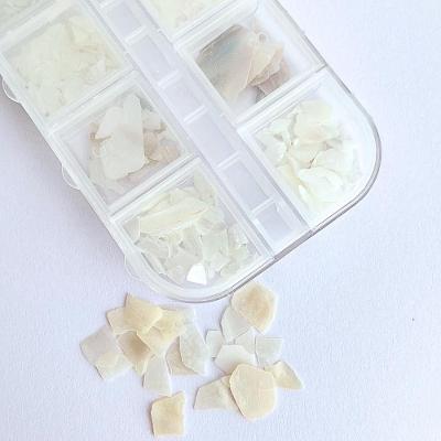 Decoração para Unha Madre Pérola Kit 12 Potinhos para Encapsular em Gel Branco Creme OEM