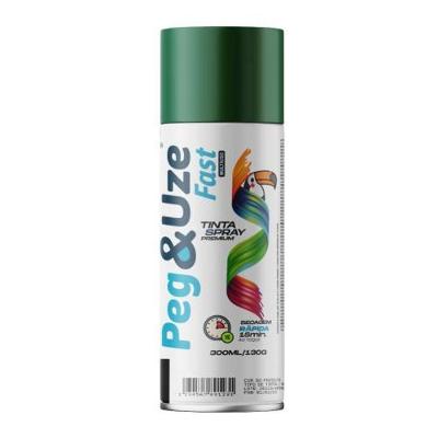 Spray Uso Geral Peg & Uze para Pintura Verde Claro Chesiquímica