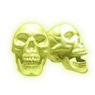 Enfeite de Halloween Cranio com Mandibula Halloween - Neon com Mandíbula Articulada Transparente