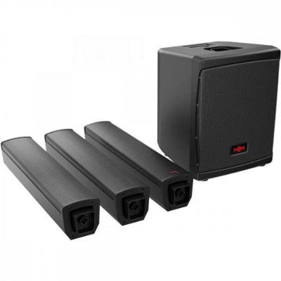 Sistema PA Ativo Portátil de Coluna Tensor-solo com Subwoofer de 8", DSP Integrado, Bluetooth Preto