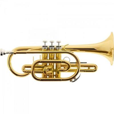 Trompete HCR-900L Bb com Campana em Peça Única Dourado Harmonics