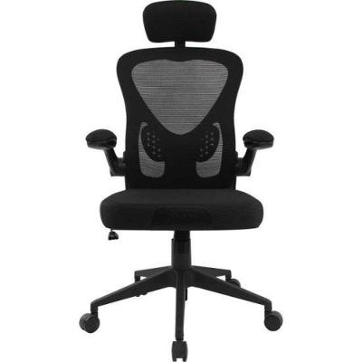 Cadeira Ergonômica Ergo Base Mesh com Encosto Mesh Base Giratória Preta