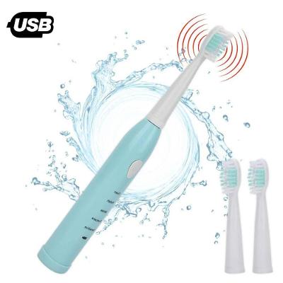 Escova de Dente Elétrica Premium Colchões Escova Bucal Usb para Limpeza e Cuidados 5 Níveis Preto