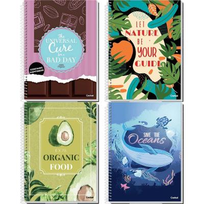Kit Caderno Espiral Credeal My Collection Fem Capa Dura 1 Matéria 80 Folhas Pautadas 4 Unidades