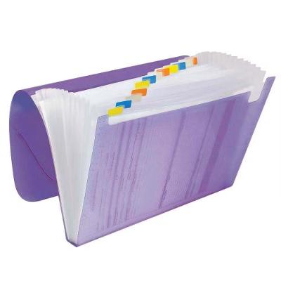 Pasta Sanfonada A4 OEM 12 Divisórias ACP Formato 1 Unidade Roxo
