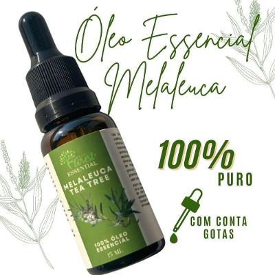 Óleo Essencial OEM de Melaleuca Tea Tree para Uso Externo Puro Natural com Propriedades