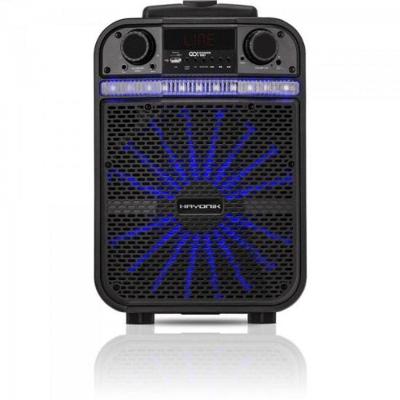 Caixa Multiuso Portátil Bluetooth Microsd Usb Fm 80W