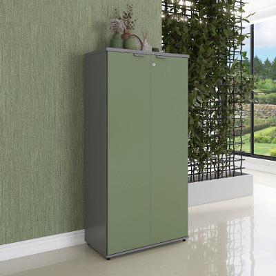 Armário para Escritório P25 2 Portas Pivotantes 3 Prateleiras MDP BP 79CM Grafite Sálvia Pandin