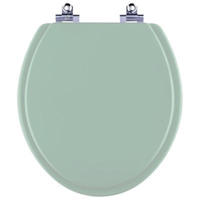 Assento Sanitário Araxa Alongado Polipropileno Fechamento Suave Almofadado Verde Pontto Lavabo 40CM