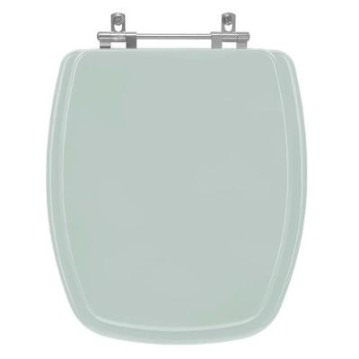 Assento Sanitário Laguna Alongado Resina Plástica Parafusado Convencional Verde Água Pontto Lavabo