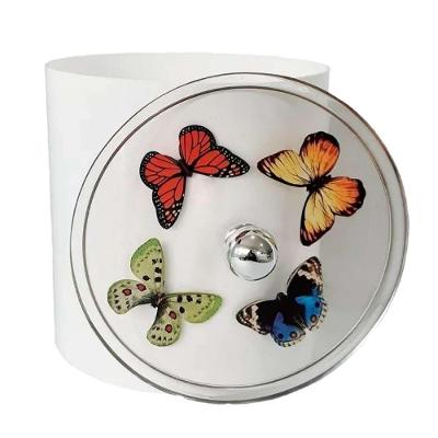 Lixeira para Banheiro Decorada com Borboletas 6,2L Plástico Tampa Transparente Branco Pontto Lavabo