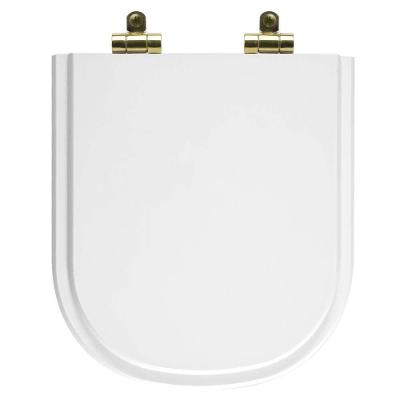Assento Sanitário Vogue Plus Alongado Resina Plástica Parafusado Fechamento Suave Branco Pontto
