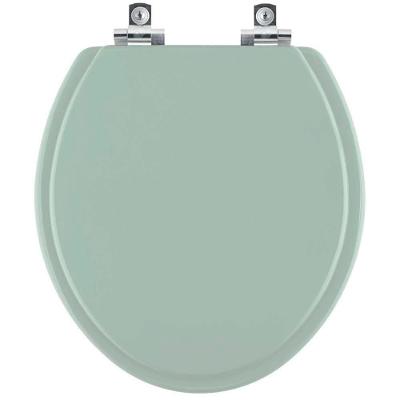 Assento Sanitário Porto Verde Alongado Plástico Fechamento Suave Alumínio Anodizado Pontto Lavabo