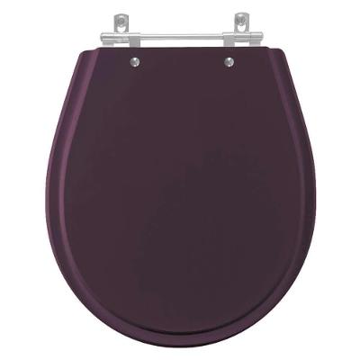 Assento Sanitário Avalon Ametista Alongado Resina Plástica Parafusado Convencional Roxo Pontto