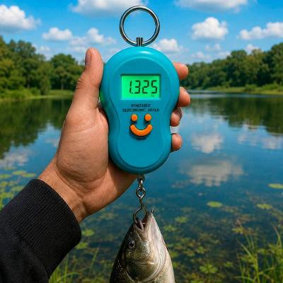Balança Portátil com Gancho para Cozinha e Pesca em Plástico ABS Até 50kg com Visor LCD Azul