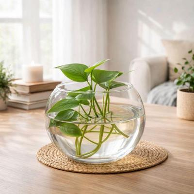 Vaso de Vidro Vaso Tipo Aquário Redondo 2,2L Transparente Mistral