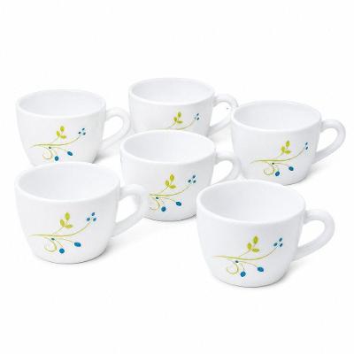 Conjunto de Xícaras Tropical Lagoon em Vidro Resistente com Estampa Natural 6 Unidades para Chá