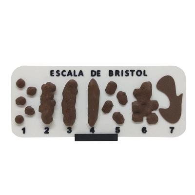 Tabela Educativa 3D Kits For Kids Escala de Bristol com Suporte Impressão 3D 24CM