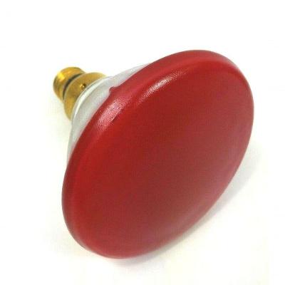 Lâmpada de Holofote Halopar 38 para Iluminação Externa com Gel Vermelho 85W 110V GE