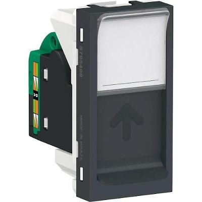 Módulo Tomada RJ45 Orion com Conectores Actassi Cat5e Grafite Schneider Electric