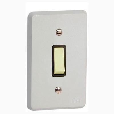 Interruptor Silentoque 1 Tecla Simples com Placa Cinza 110V Pial
