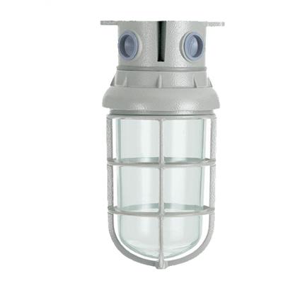 Luminária Blindada Ovóide WYN-25-1 IP65 com Soquete E-27 100W Bivolt Wetzel