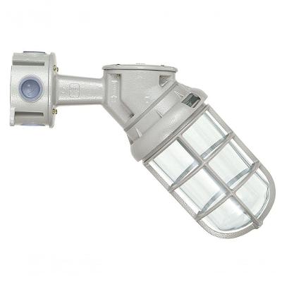 Luminária Blindada Ovóide WYN-26-1 45º IP65 E-27 Bivolt – Wetzel