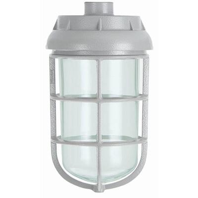 Luminária Blindada Pendente Ovóide WYN-20-1 IP65 E-27 100W Bivolt Wetzel