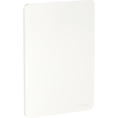 Placa Cega 2x4 Orion Antibacteriana Branco Schneider Electric S730100024
