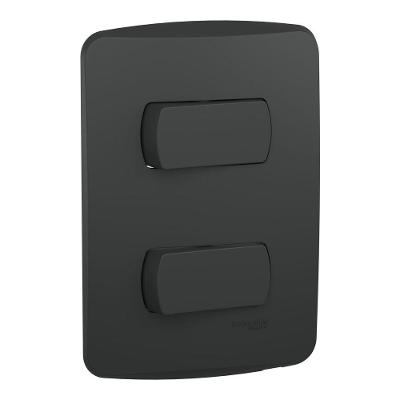 Conjunto Placa 2x4 Horizontal com 2 Interruptor Simples S3B62111 10A 250V Grafite Schneider