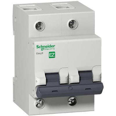 Disjuntor Modular Easy9 Bipolar Curva C 4,5KA 230-400VCA 70A Cinza Schneider