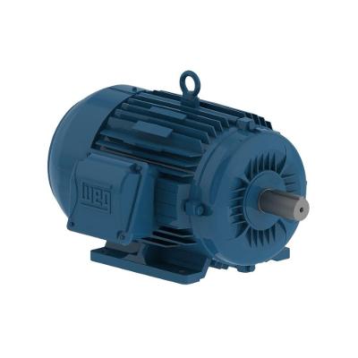 Motor Trifásico W22 Alto Rendimento Ferro Fundido Azul 1165 RPM 220-380V WEG