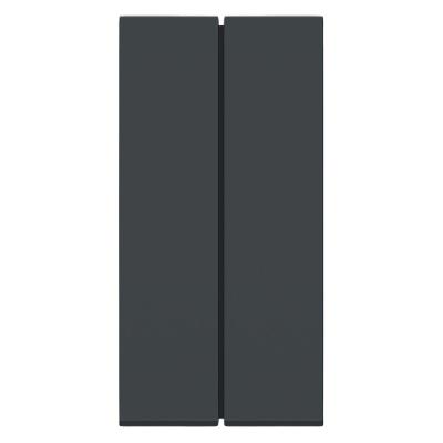 Módulo Duplo Interruptor Simples Orion Iluminação 250VCA Grafite Schneider S70100194