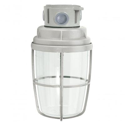Luminária Blindada Plafonier Ovóide WYP-25-2 IP65 E-27 200W Bivolt Wetzel