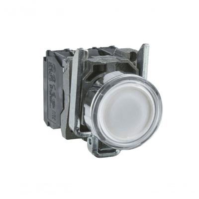Botão 22mm Luminoso LED 1NA 1NF 110V Branco Schneider Electric