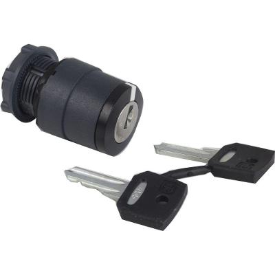Cabeçote para Comutador com Chave ZB5AG2 2 Posições Fixas 90° Bloqueio Ronis 455 Cinza Schneider