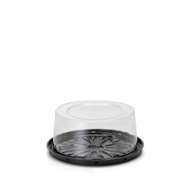 Embalagem Mini Bolo G32ct em Polietileno Super Resistente com Tampa Articulada Transparente