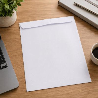 Envelope Reiart Sof 25 Papel 75g Formato 176x250mm Caixa com 250 Unidades Branco
