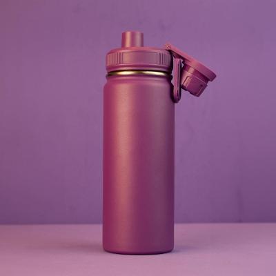 Garrafa com Alça e Bico 780ML em Aço Inox Térmica com Tampa Rosqueável Roxa