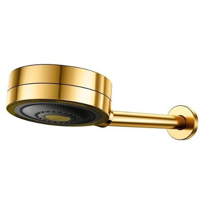 Chuveiro Docol Technoshower Fria 20 a 400kPa de Parede Ouro Polido 220V
