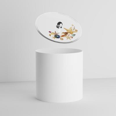 Lixeira Conchas do Mar 6,2L Plástico Tampa Decorativa em Resina de Poliéster Branco Pontto Lavabo