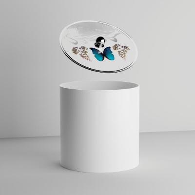 Lixeira Cesto de Lixo 6,2L Plástico Abertura Manual Tampa Decorativa Borboleta Azul Branco Pontto