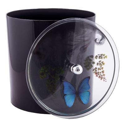 Lixeira Cesto de Lixo Decorado 6,2L Plástico Abertura Manual Preto com Borboleta Azul Pontto Lavabo