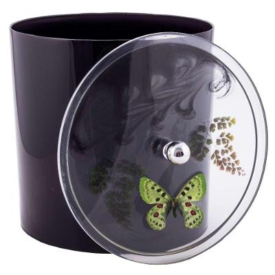 Lixeira Decorada 6,2L Plástico Preto com Borboleta Verde Pontto Lavabo