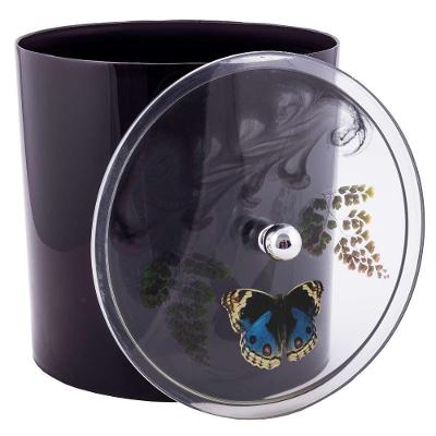 Lixeira Decorada 6,2L Plástico com Tampa Removível Preto com Borboleta Azul Escuro Pontto Lavabo