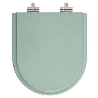 Assento Sanitário Riviera para Vaso Celite Alongado Polipropileno Fechamento Suave Verde Água Pontto
