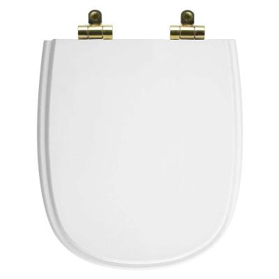 Assento Sanitário Sabatini Alongado Resina Plástica Fechamento Suave Branco Pontto Lavabo