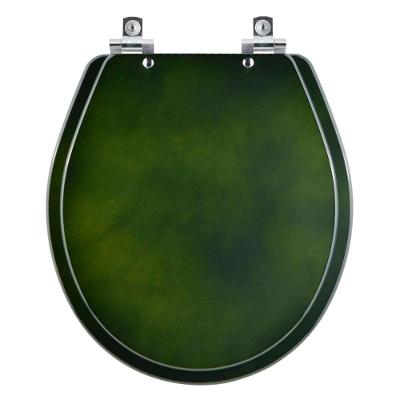 Assento Sanitário Ravena Alongado Polipropileno Fechamento Suave Verde Degrade Pontto Lavabo
