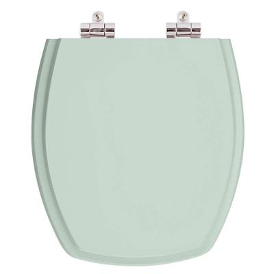 Assento Sanitário Thema Alongado Polipropileno Fechamento Suave Verde Água Pontto Lavabo