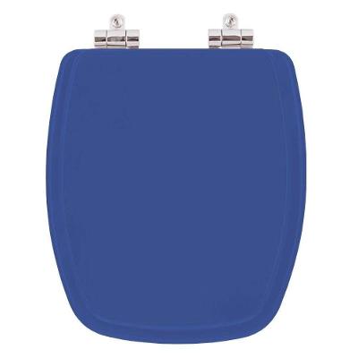 Assento Sanitário Stylus Alongado Resina Plástica Fechamento Suave Azul Mineral Pontto Lavabo